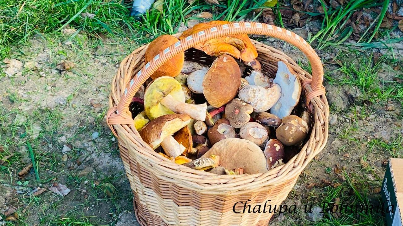 Chalupa U Bohumila Rybna nad Zdobnici Ngoại thất bức ảnh
